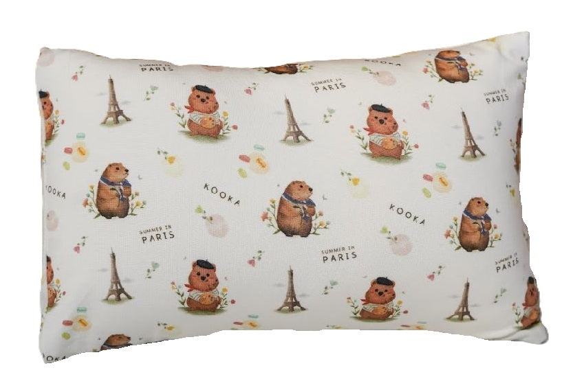 Paris pillow