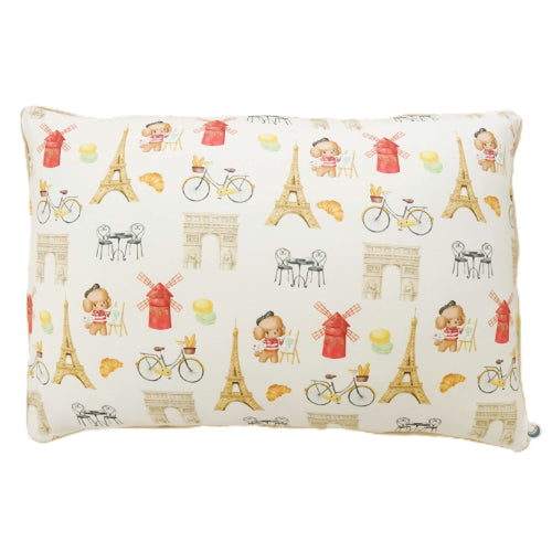 France pillow