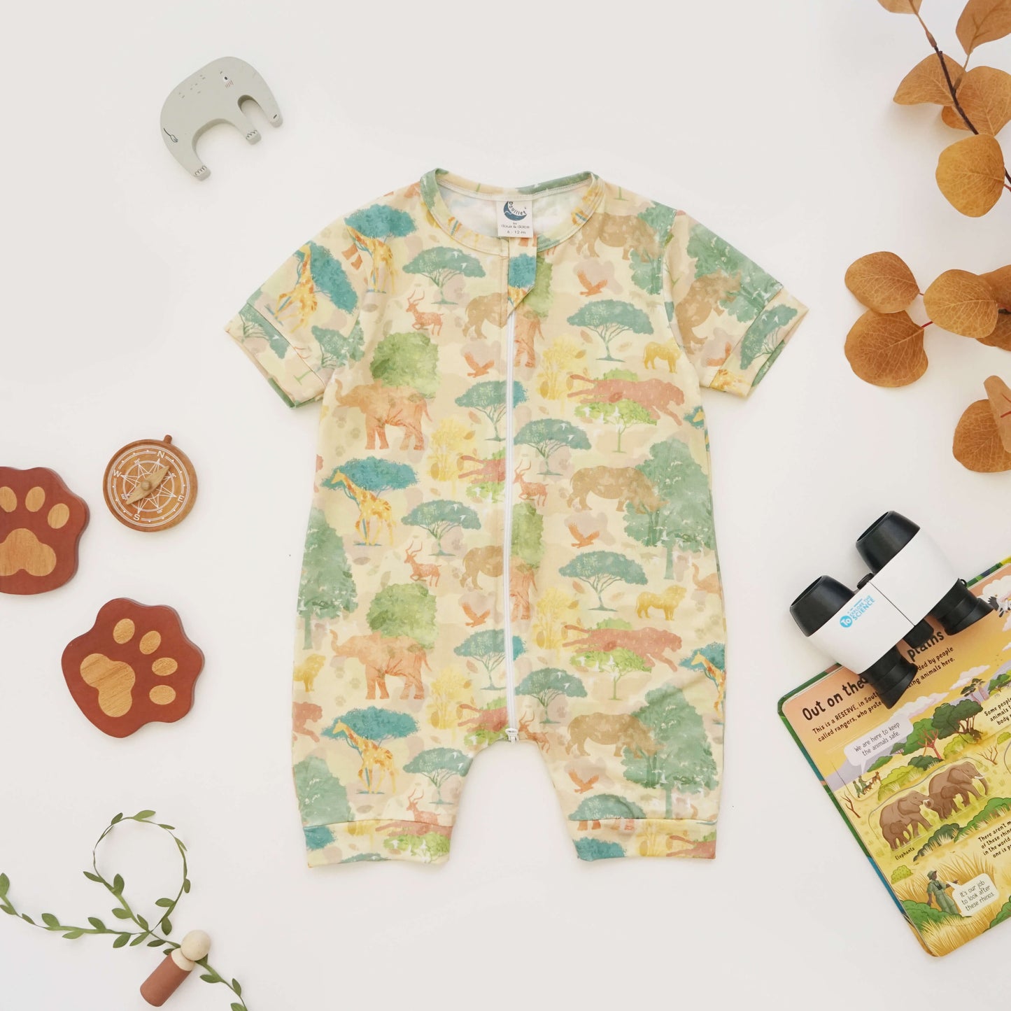 Savanna dream
